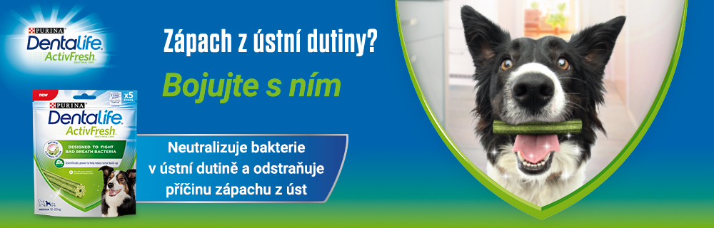 Purina DentaLife Activfresh